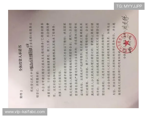 深入分析凯发网页地址的登录流程与常见问题解决方法