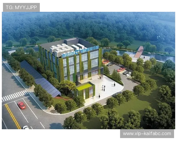 凯发k8娱乐平台优惠活动与奖励机制详解助力玩家获得更多实惠与福利