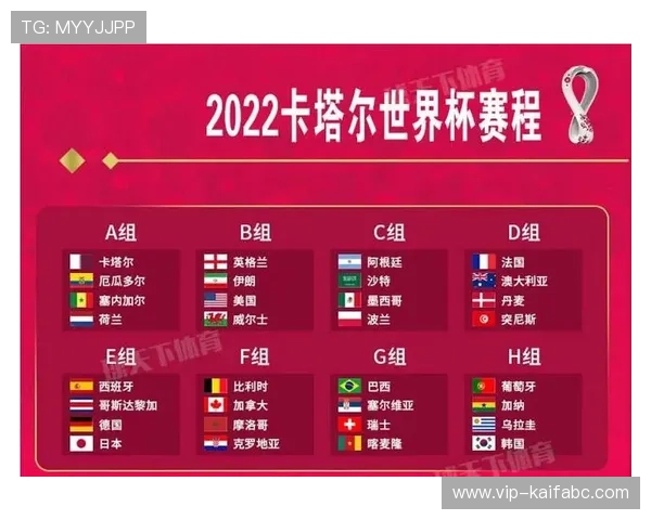 世界杯新西兰与比利时比赛酒吧观赛指南，享受现场氛围与精彩瞬间