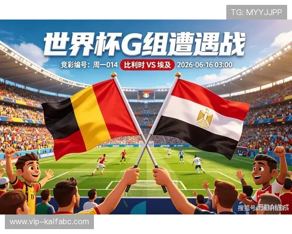 世界杯比赛埃及对比利时场地的场馆特色与比赛体验详尽报道